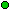 Focus bug top 10 Focus bug top 10