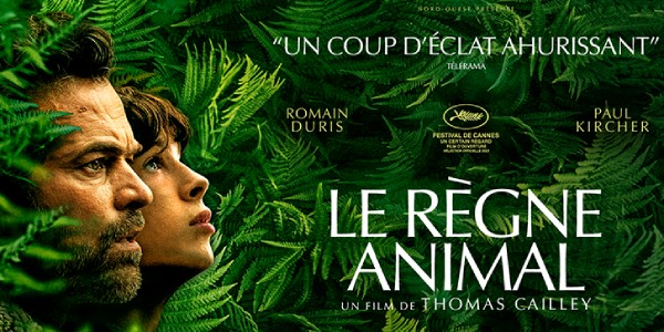 le_rgne_animal