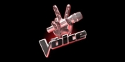 The Voice 25x19