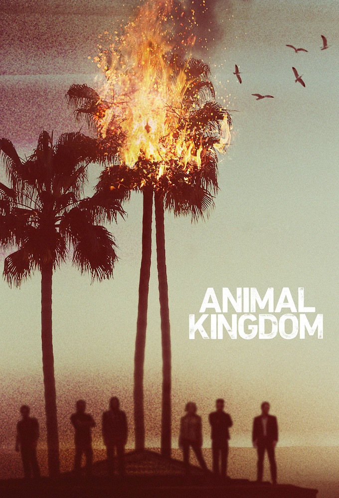 animal kingdom