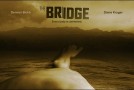 The Bridge US s’arrête après 2 saisons