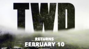 Dimanche 10/02, ce soir : 2ème partie de la 9ème saison de The Walking Dead